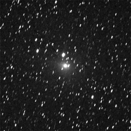 Rフィルタで撮影したタットル彗星