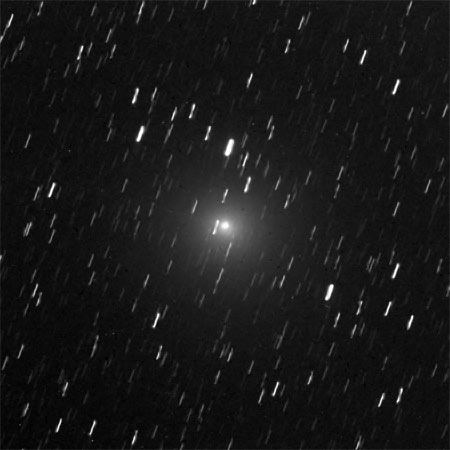 Vフィルタで撮影したタットル彗星