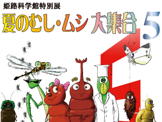 夏のむし・ムシ大集合5
