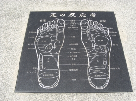 足の反応帯の図