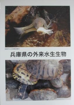 兵庫県の外来水生生物の冊子
