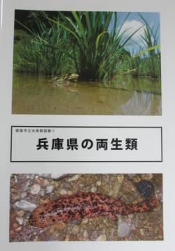 兵庫県の両生類の冊子