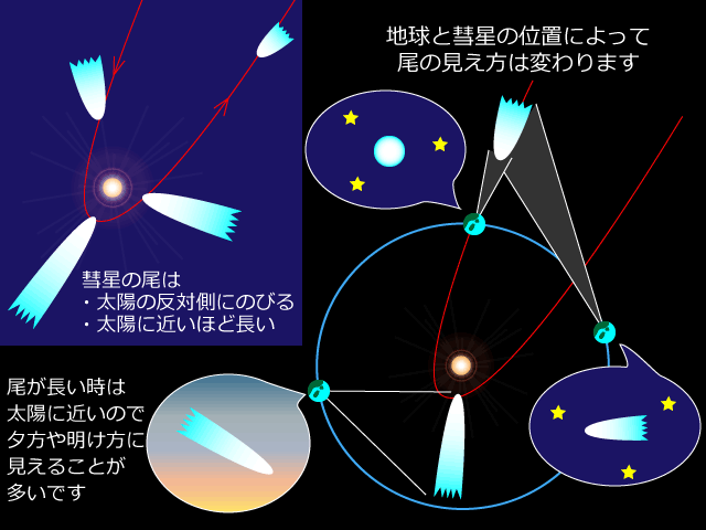 地球と彗星の位置関係によって尾の見え方が変わることを示す図で彗星の軌道と地球の公転を円で示し複数の位置で尾の向きと長さが星空や夕焼けの吹き出しで説明されている