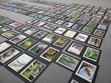 写真展の準備の様子