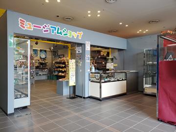 化石、鉱物、科学おもちゃを販売