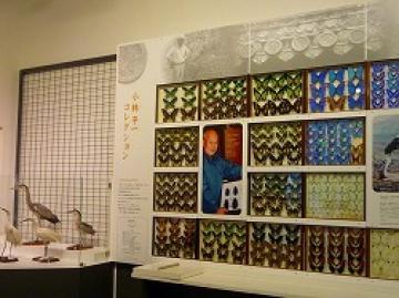 小林コレクションの展示