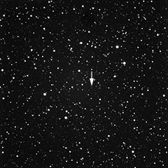 3月11日のアイソン彗星