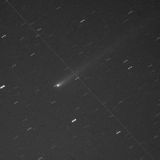 15cm望遠鏡で撮影した2013年11月8日のアイソン彗星