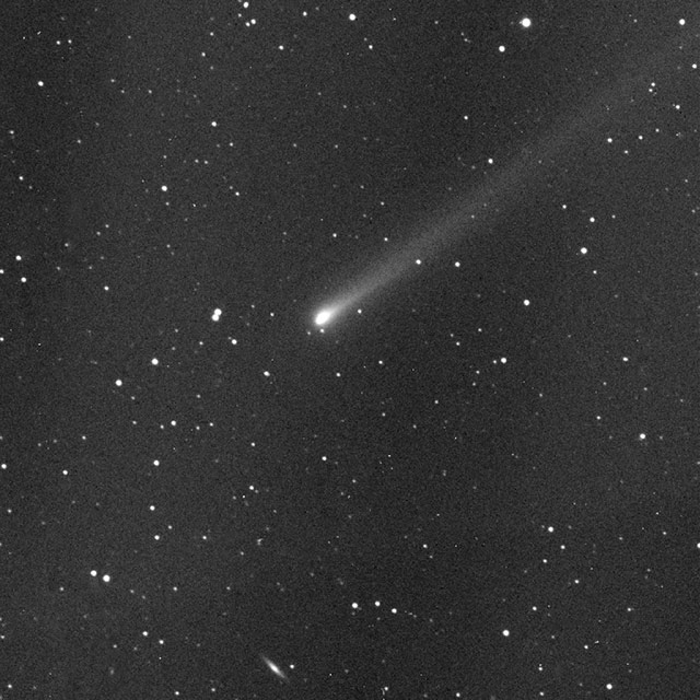15cm望遠鏡で撮影した2013年11月12日のアイソン彗星
