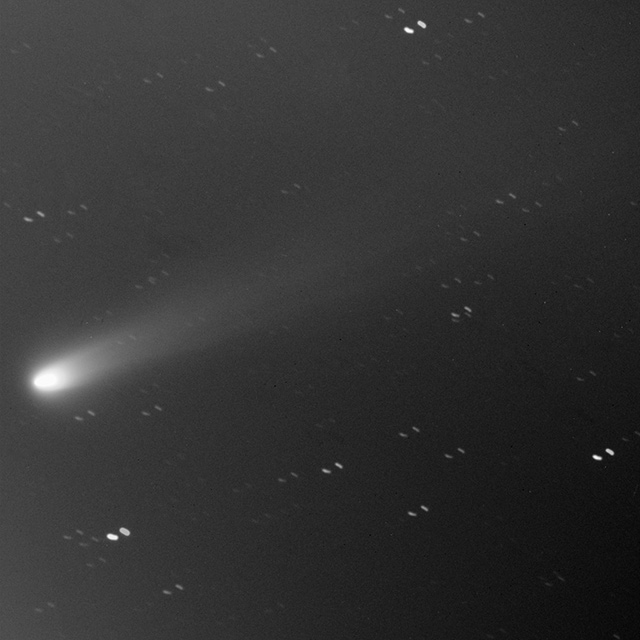 15cm望遠鏡で撮影した2013年11月21日のアイソン彗星