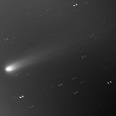 11月21日のアイソン彗星