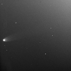 11月23日のアイソン彗星