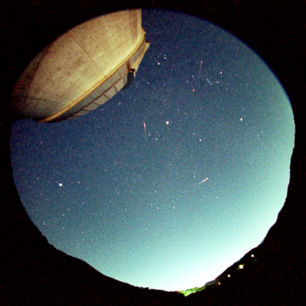 天体写真と観測報告「しし座流星群(2001年11月19日)」