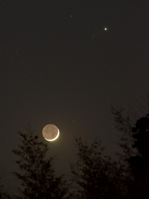 月と木星の接近