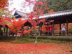 京都市　東福寺