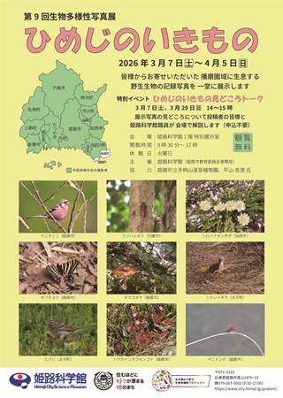 姫路のいきものチラシ)