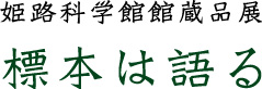 標本は語るロゴ