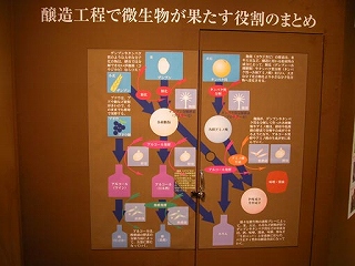 醸造の過程で微生物が果たす役割