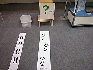 この足跡の先には？