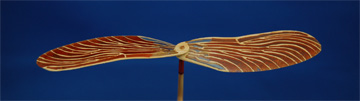 トンボの羽のような芸術的な竹とんぼ