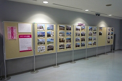 展示１