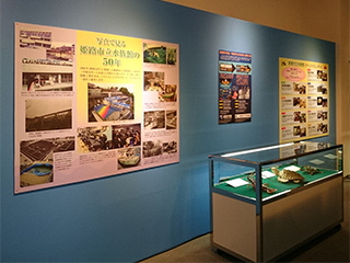 姫路市立水族館のコーナー