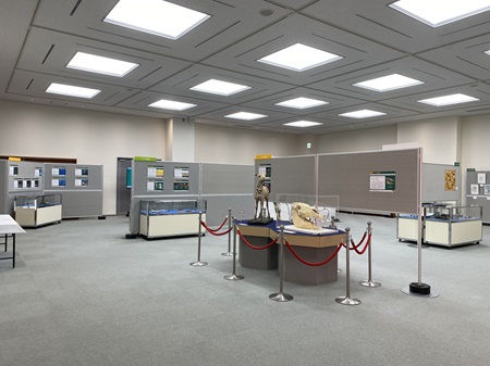 展示室の様子2