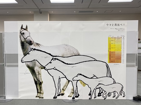 等身大ウマパネル