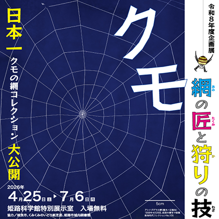 クモ展ロゴ