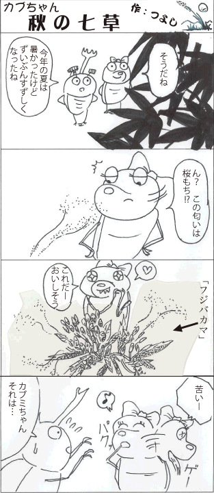 カブちゃん秋の七草