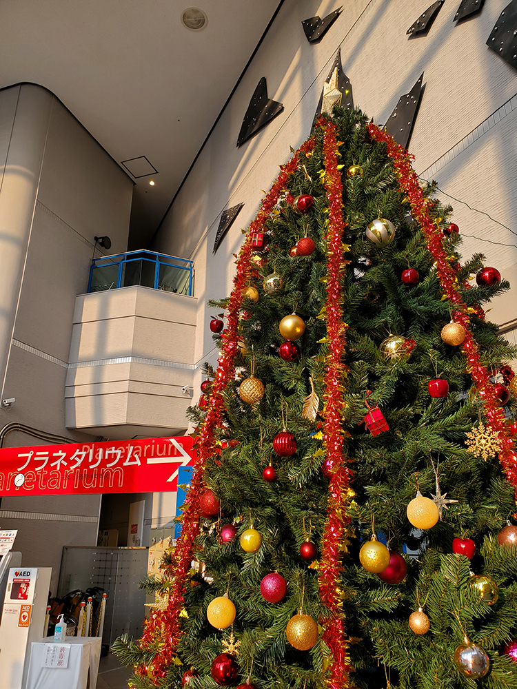 姫路科学館の設置されたクリスマスツリー