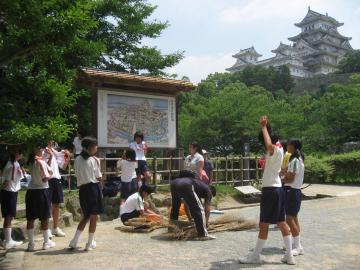 愛城会の画像