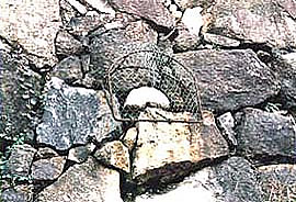 姥が石の写真