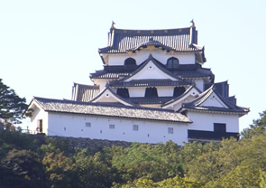 Hikone Castle Pictures