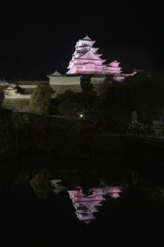 4月の姫路城ライトアップの画像