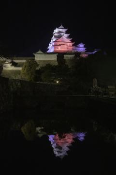 12月の姫路城ライトアップの画像