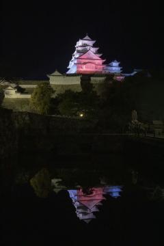 1月の姫路城ライトアップの画像