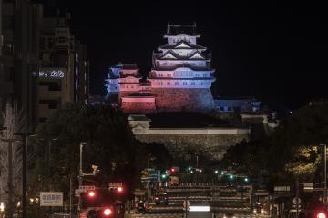 1月の姫路城ライトアップの画像