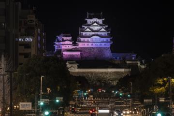 3月の姫路城ライトアップの画像