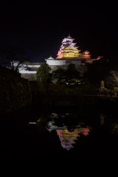 10月の姫路城ライトアップの画像その2