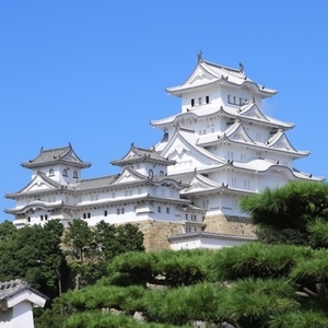 令和7年4月1日より姫路城デジタルチケットの販売を開始します