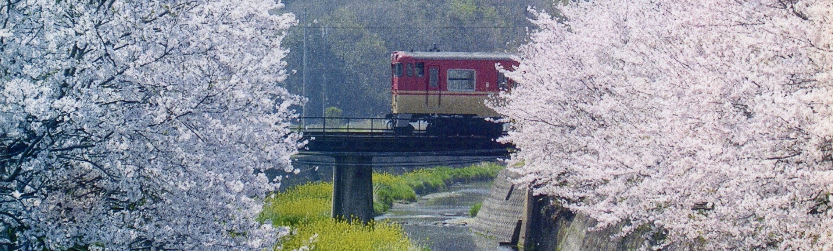 太市の桜と姫新線