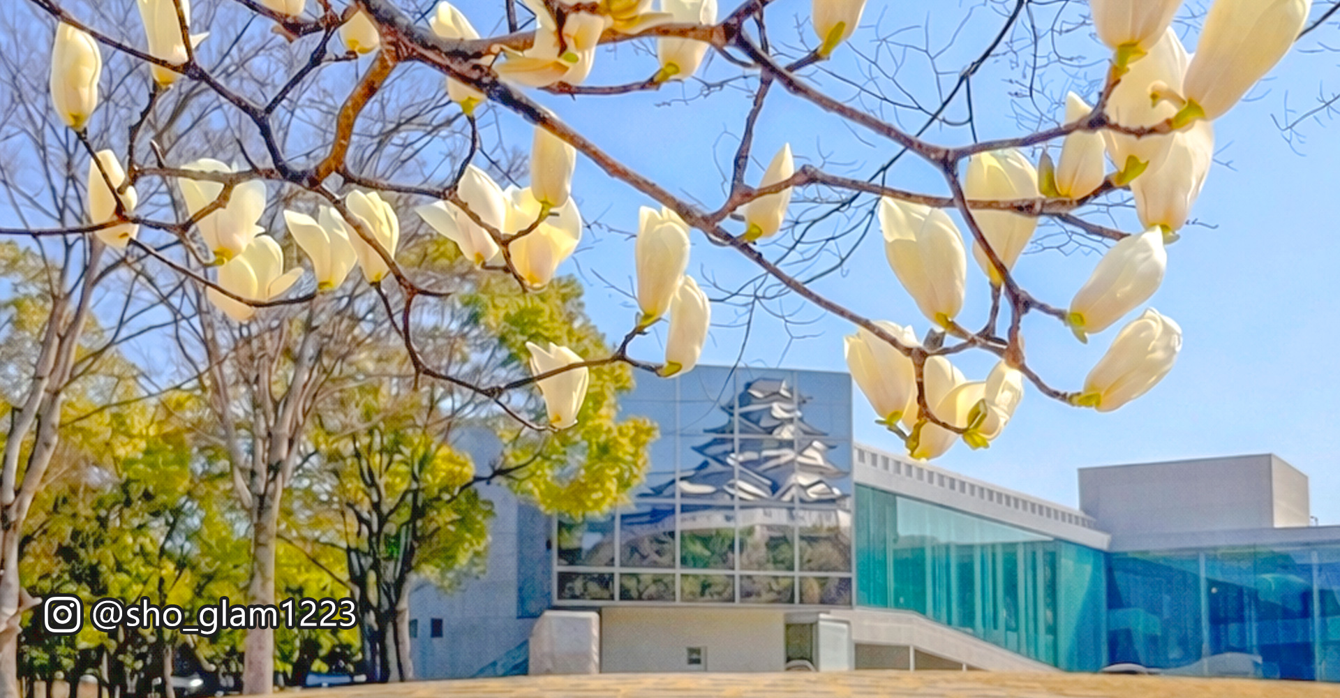 姫路文学館@sho_glam1223