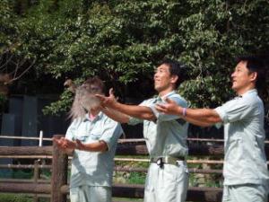 保護した鳥の放鳥の写真