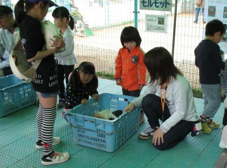 活動の様子の写真