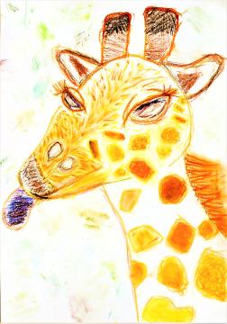 銅賞作品