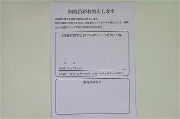 飼育員への質問を書く用紙