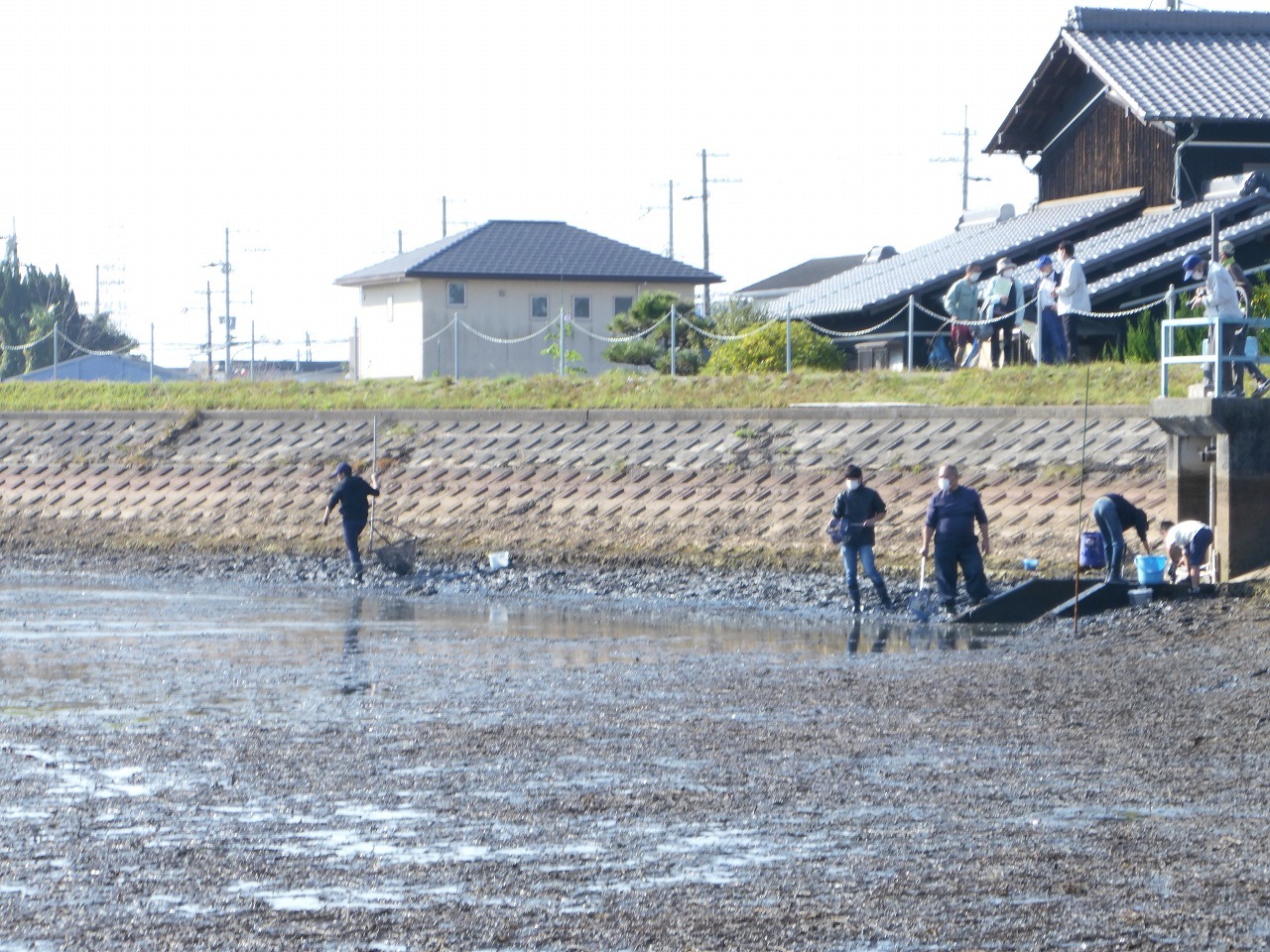 水がなくなった池の様子