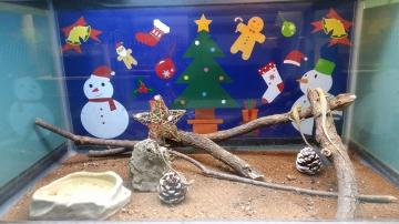 クリスマスバージョンのカナヘビ水槽