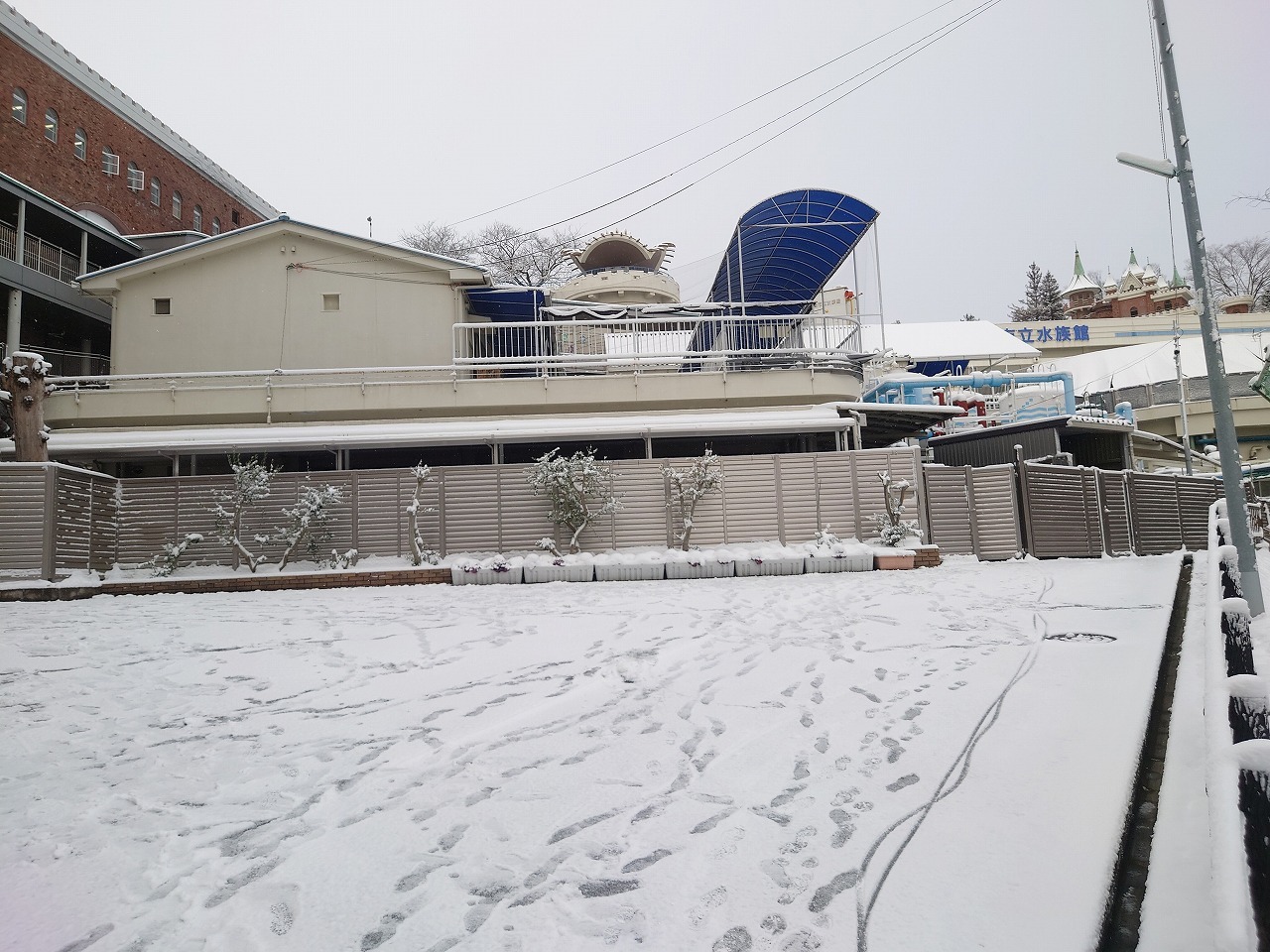 雪が積もった水族館